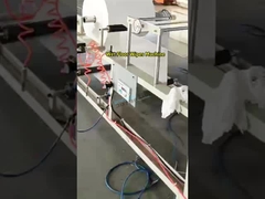 কাস্টমাইজযোগ্য প্যাকেজিং ডিজাইন ভিজা মেঝে উইপস প্যাকিং মেশিন